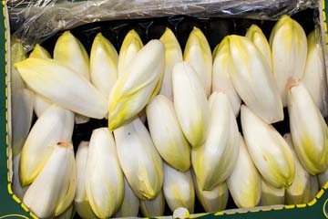 les endives