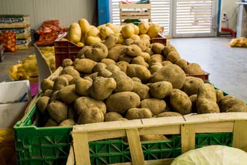 les patates et pommes-de-terre