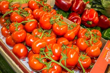 les tomates et les poivrons